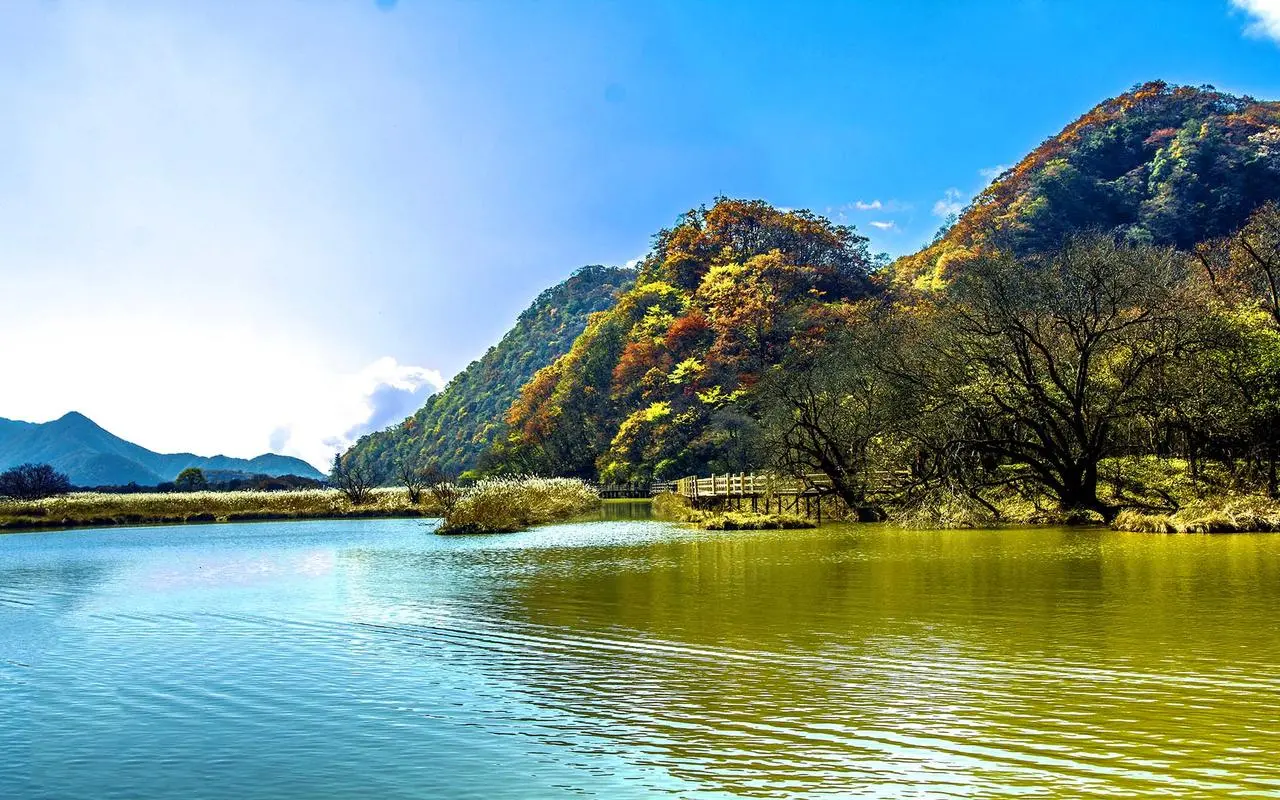 翻山越岭，壮志破云天：《武动九霄》中浩瀚玄幻世界的英雄赞歌